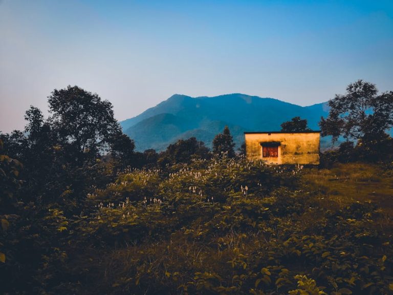 Строительство домов из клееного бруса