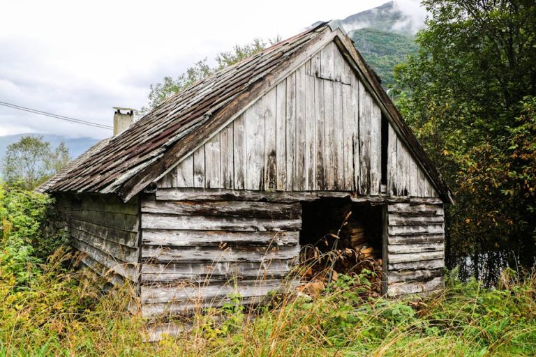 Строительство домов из профилированного бруса