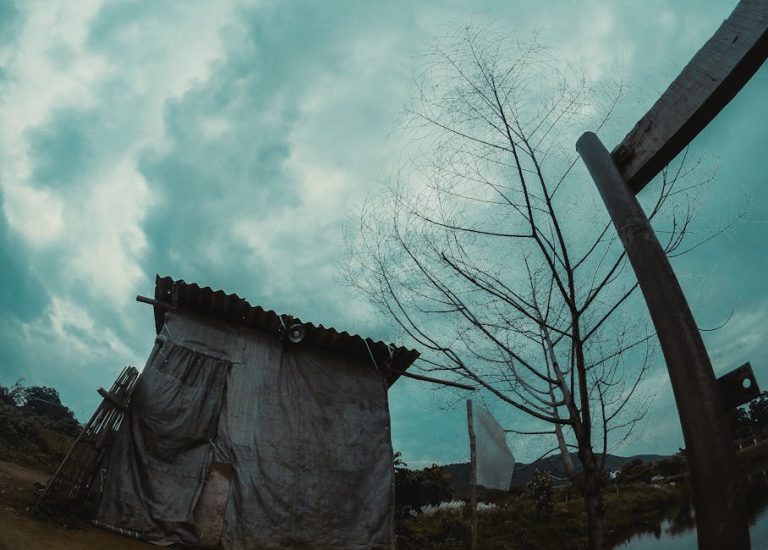 Производство и строительство домов из клееного бруса