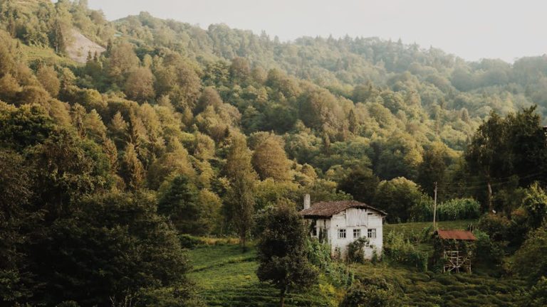 Строительство домов из бруса под ключ в Екатеринбурге