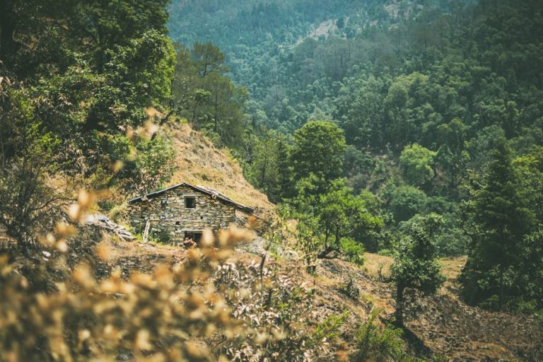 Строительство деревянных домов из профилированного бруса под ключ в Екатеринбурге