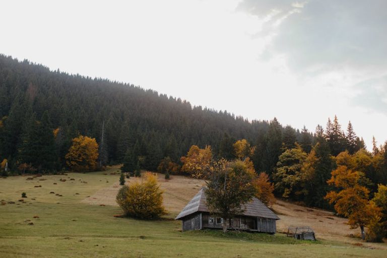 Строительство домов из бруса под ключ в Екатеринбурге