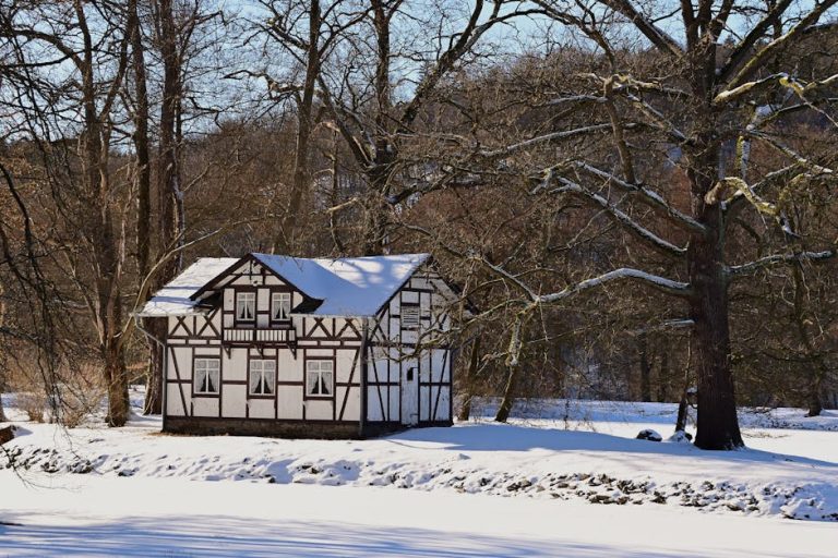Строительство домов из клееного бруса