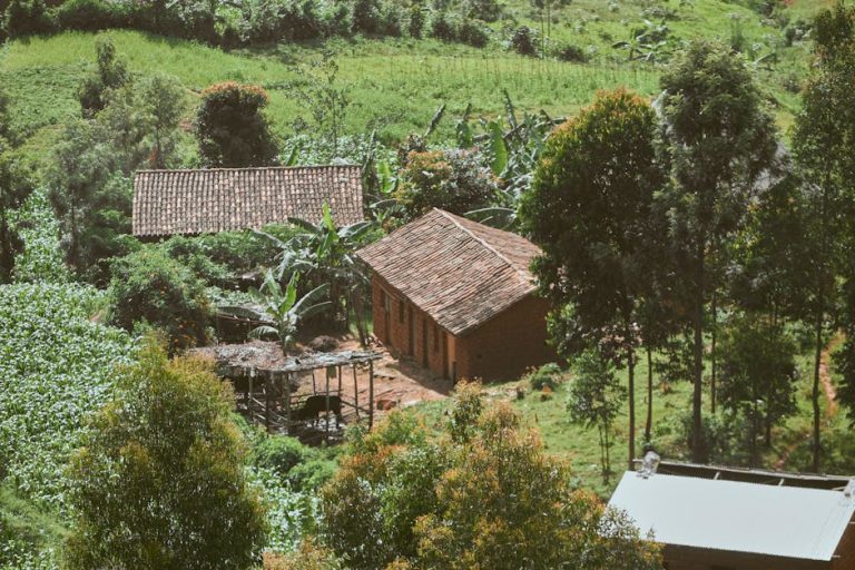 Строительство домов из клееного бруса под ключ