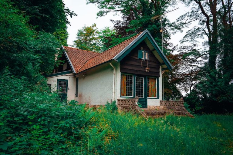 Строительство домов из бруса и бань в Екатеринбурге