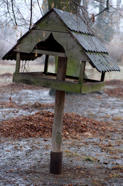 Строительство домов из клееного бруса