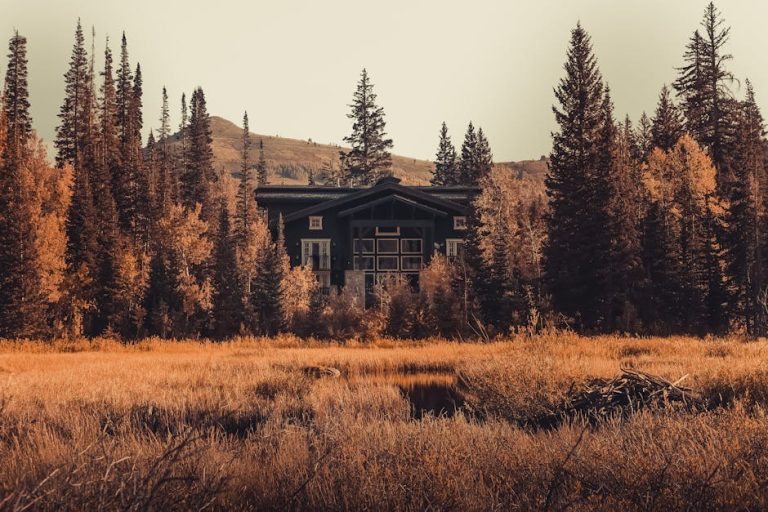 Строительство домов из бруса под ключ в Екатеринбурге