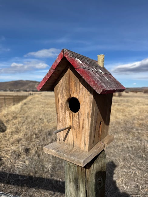 Преимущества строительства домов из клееного бруса