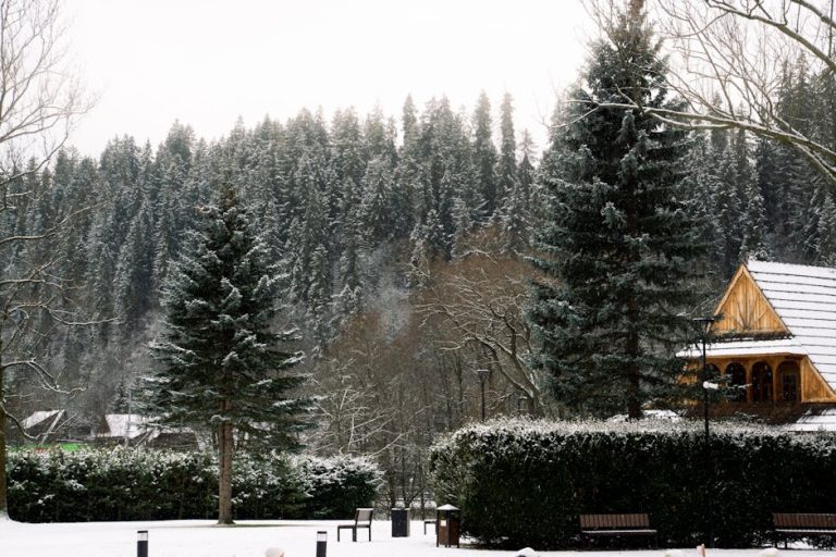 Производство и строительство деревянных домов и бань из бруса и бревна