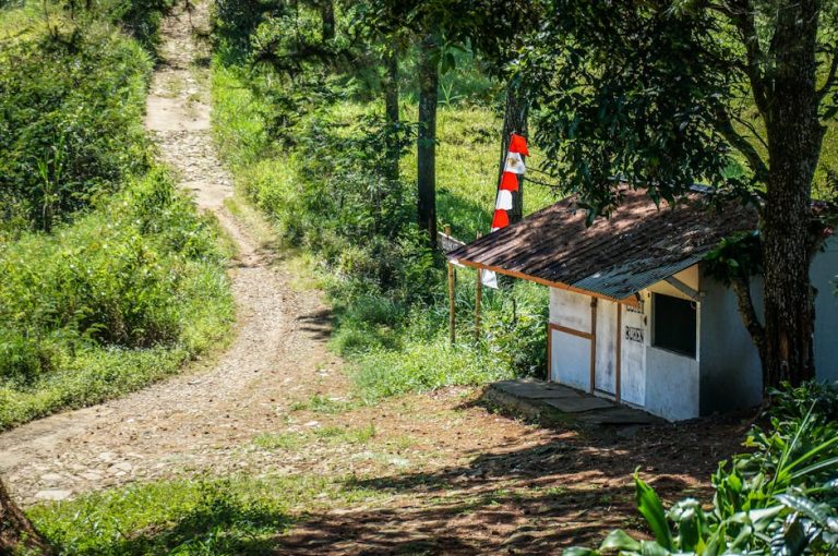 Строительство домов из клееного бруса в Екатеринбурге
