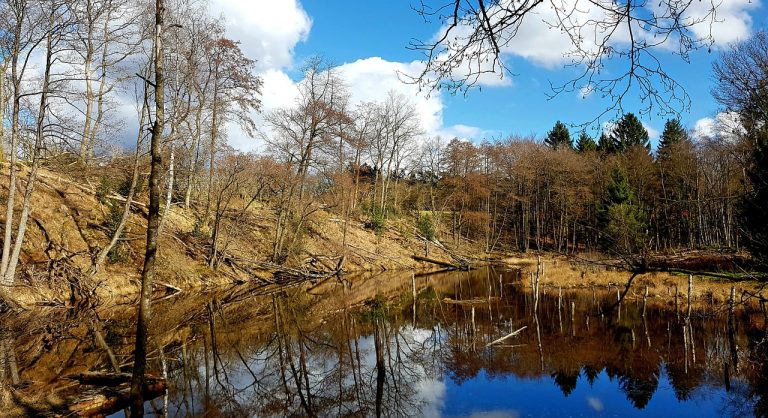 Строительство домов из бруса в Екатеринбурге