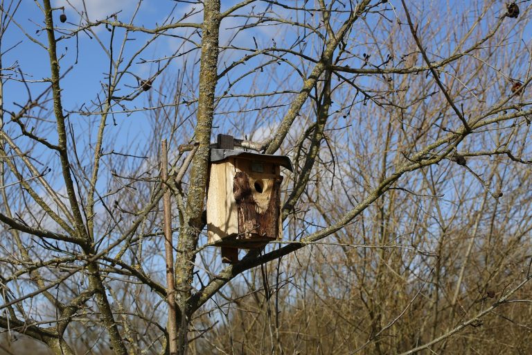 Строительство домов из бруса в Екатеринбурге