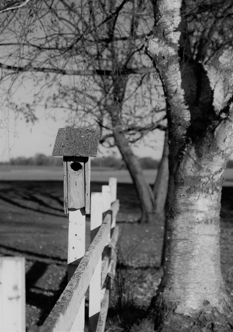 Строительство бань из клееного бруса в Екатеринбурге