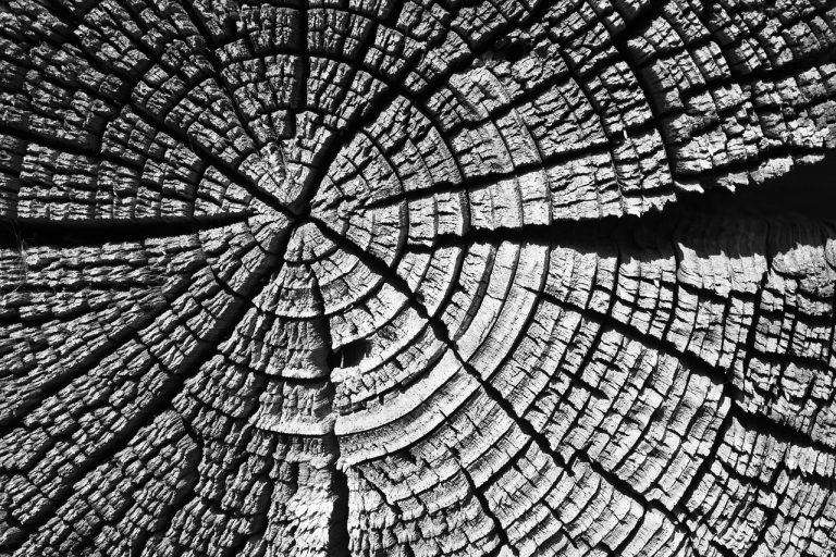 Производство и строительство деревянных домов из клееного бруса