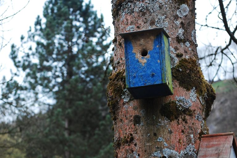 Строительство домов из клееного бруса