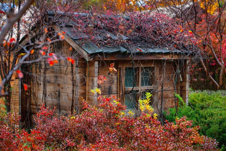 Строительство бань из клееного бруса