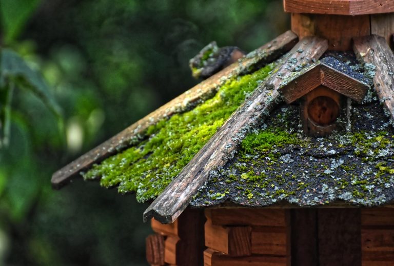 Строительство домов из бруса под ключ в Екатеринбурге