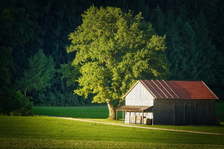 Дома из клееного бруса под ключ в Екатеринбурге