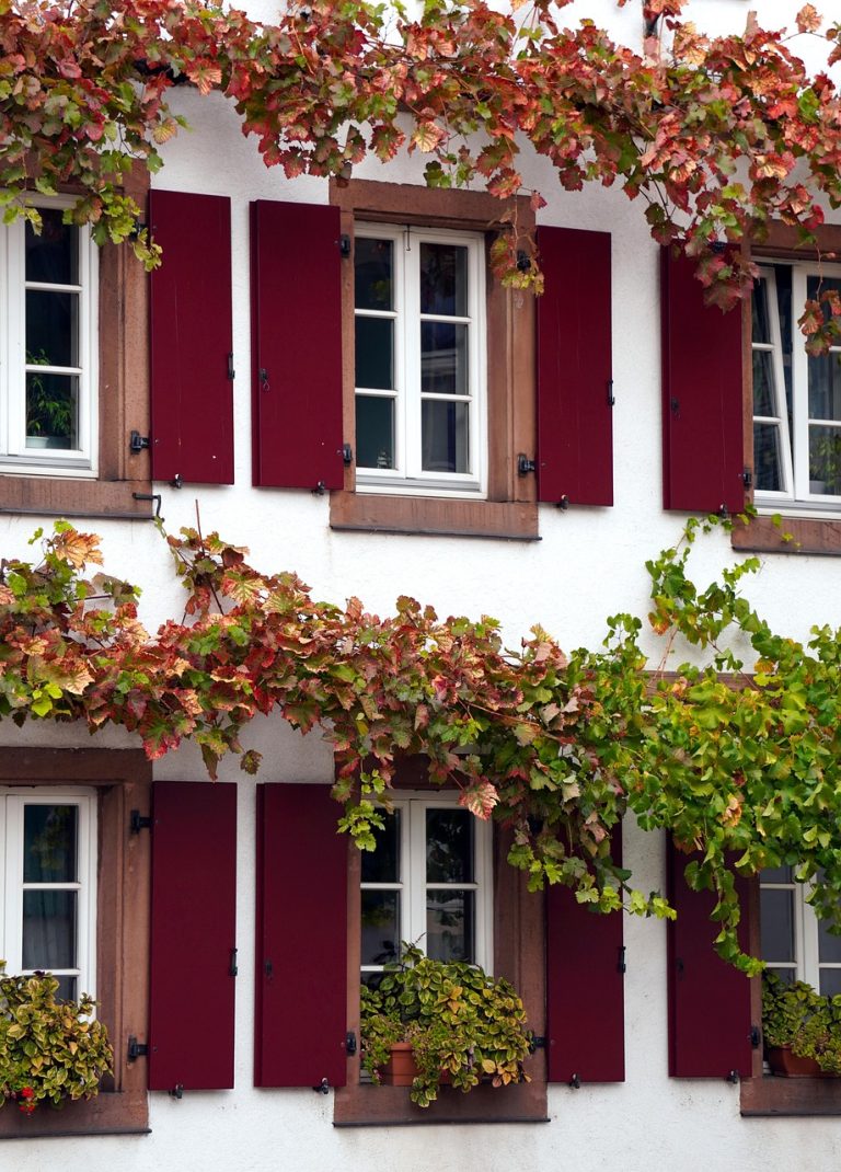 Строительство домов из бруса под ключ