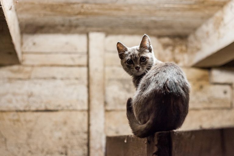 Строительство домов из клееного бруса