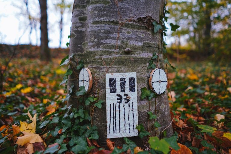 Строительство домов из клееного бруса в Екатеринбурге