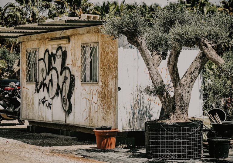 Строительство домов из профилированного бруса