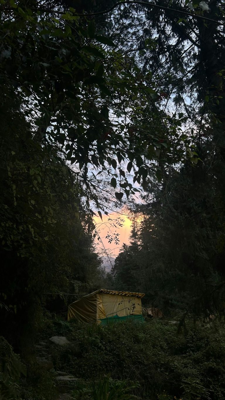 Строительство домов из клееного бруса