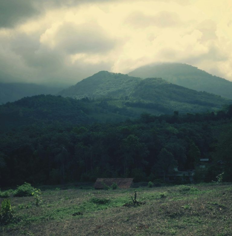 Строительство бани из клееного бруса под ключ в Екатеринбурге