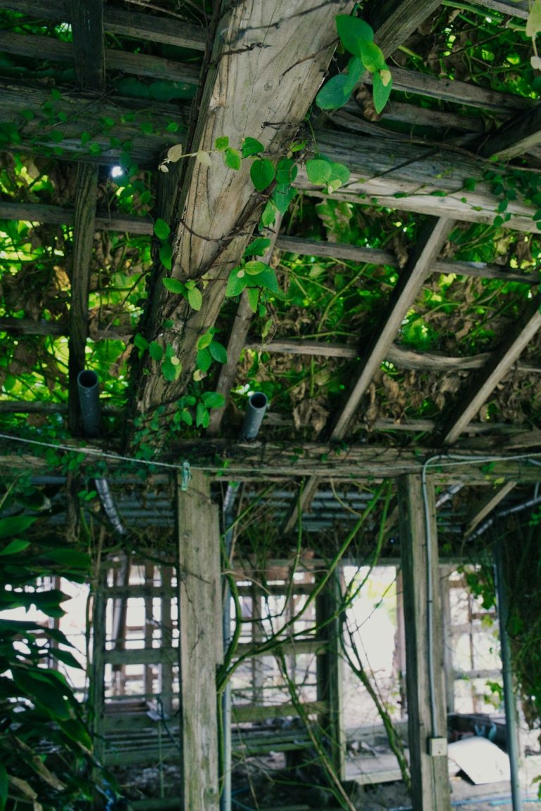 Строительство деревянных домов из бруса под ключ в Екатеринбурге