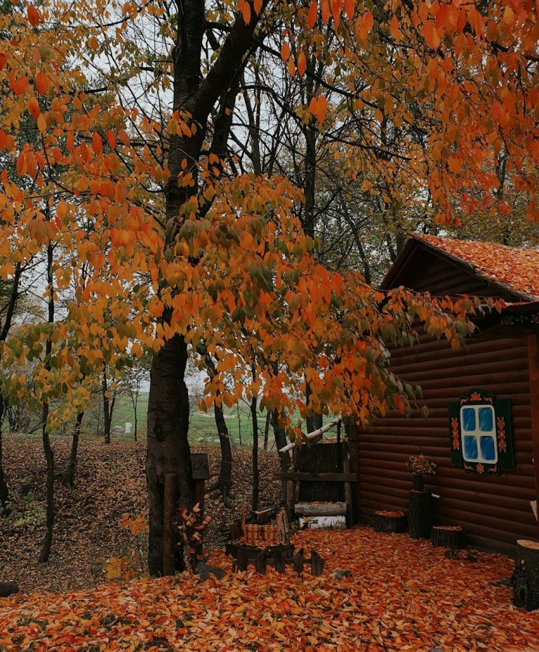 Строительство бань из клееного бруса