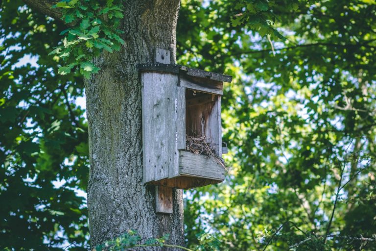Строительство домов из клееного бруса