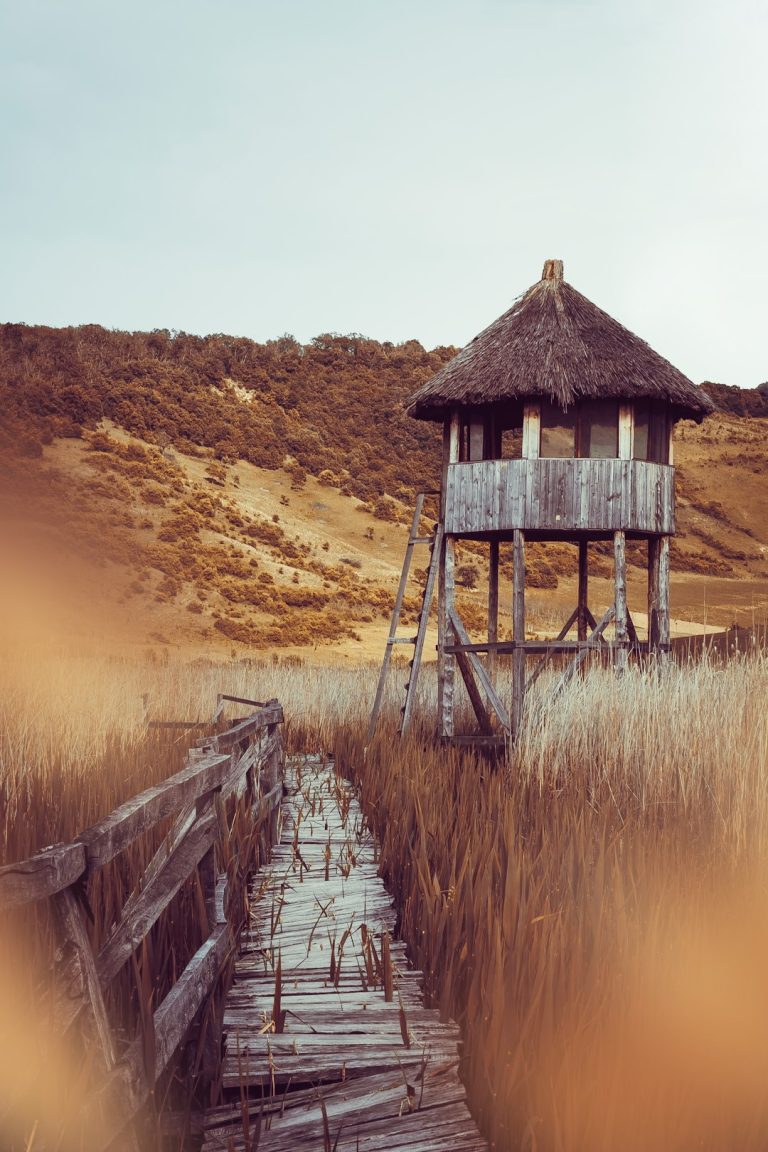 Производство и строительство домов из клееного бруса