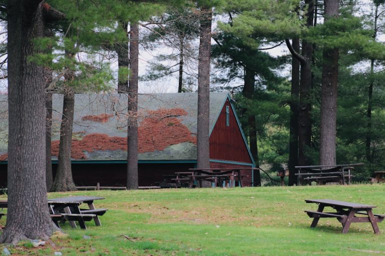 Строительство домов из профилированного бруса