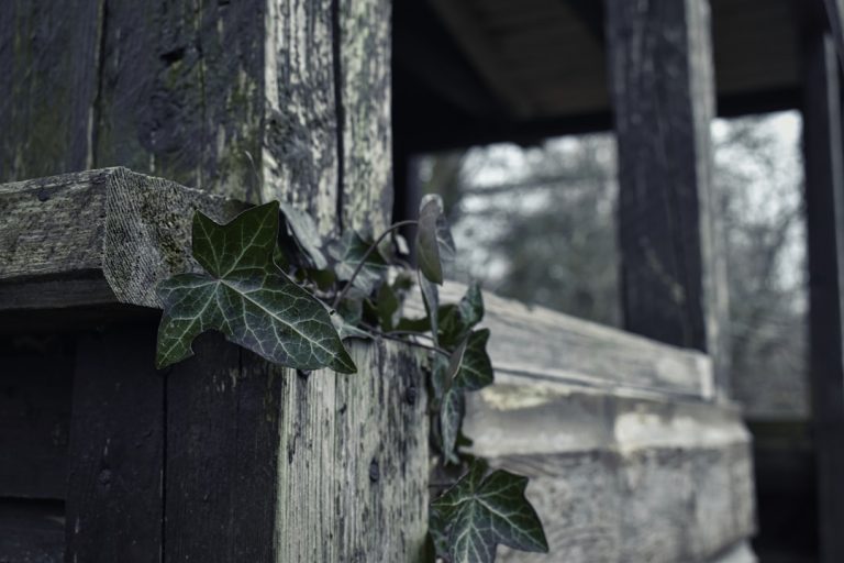 Строительство домов из бруса под ключ в Екатеринбурге